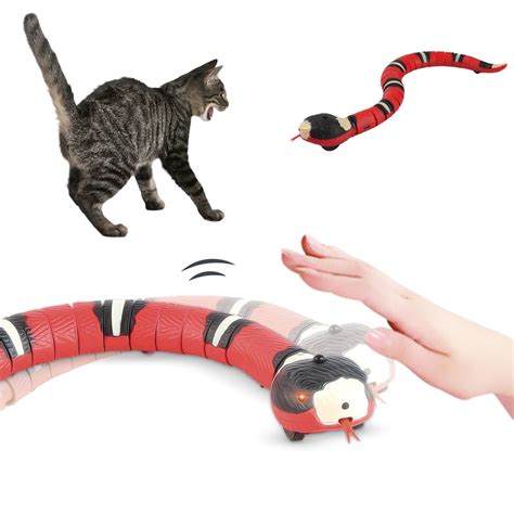 The Magic Cat Toy Revolution: Innovative Designs for Maximum Feline Fun